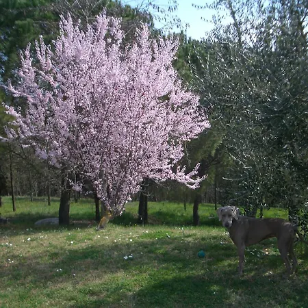 Il Cigliere Your Holiday Home In The Heart Of Tuscany Florence Exterior photo
