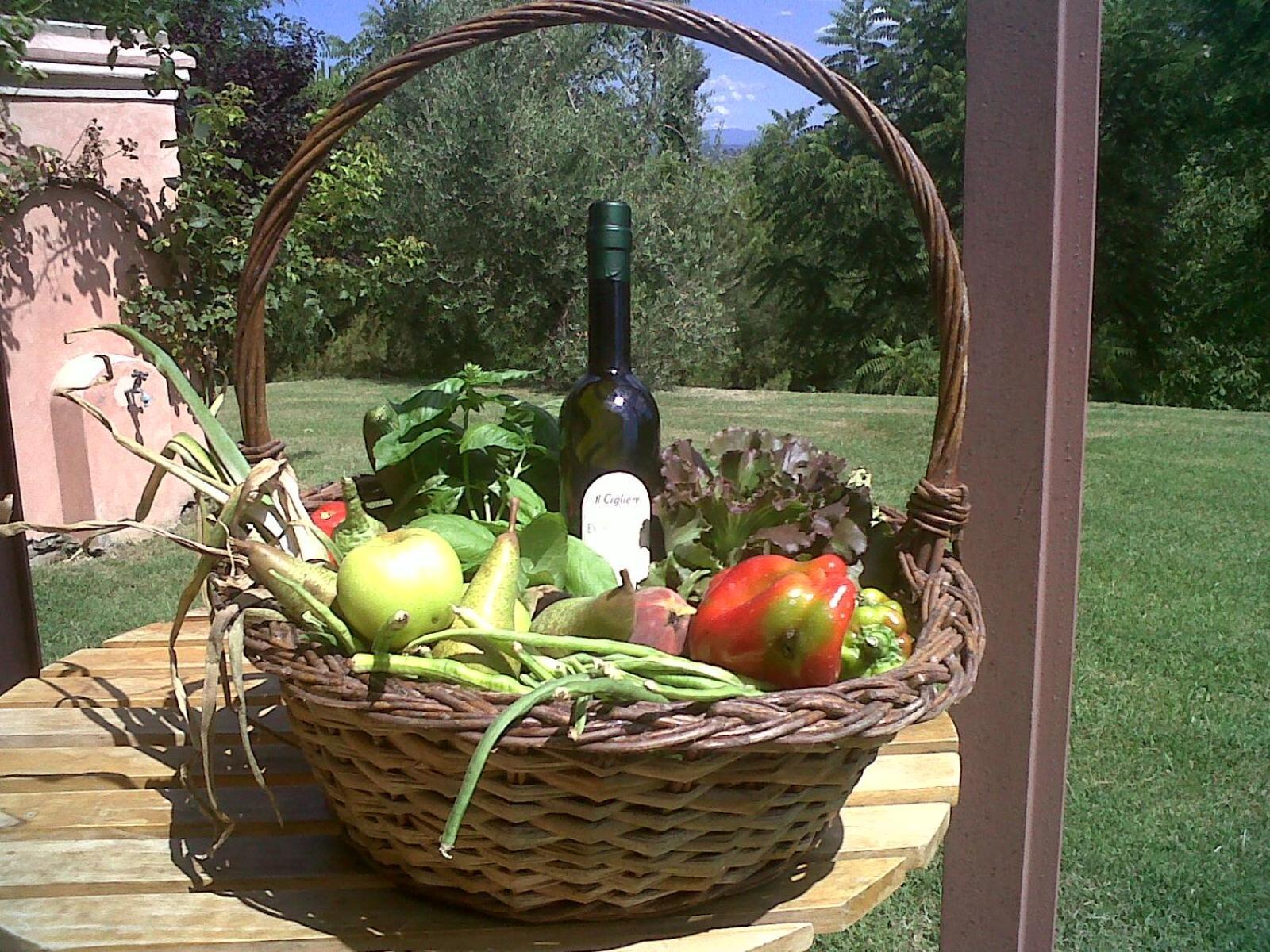Il Cigliere Your In The Heart Of Tuscany Florenz