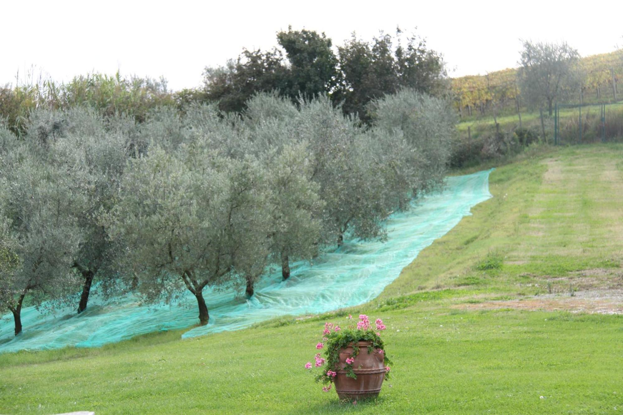 Ferienhaus Il Cigliere Your In The Heart Of Tuscany *