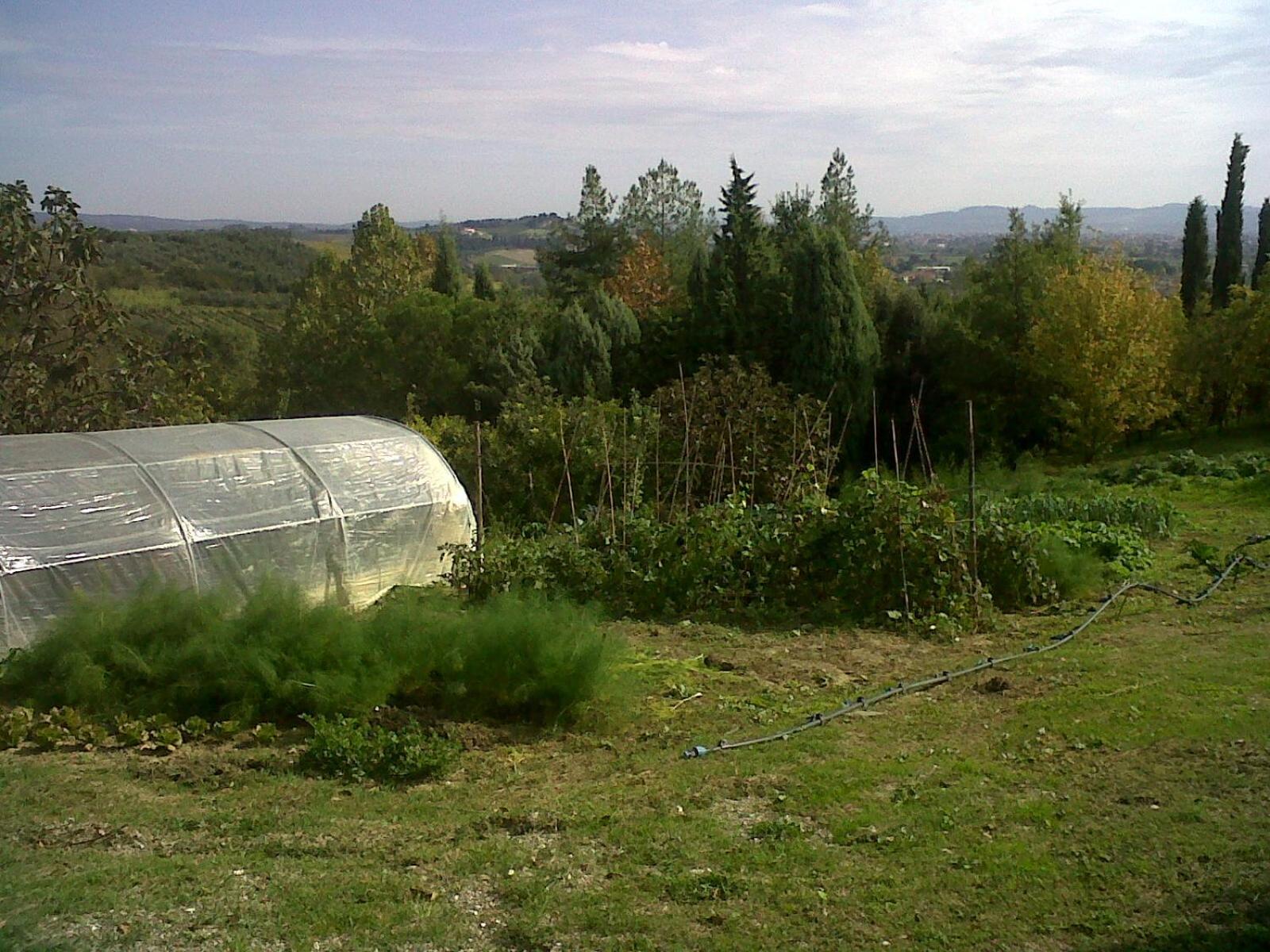 Il Cigliere Your In The Heart Of Tuscany Ferienhaus Florenz