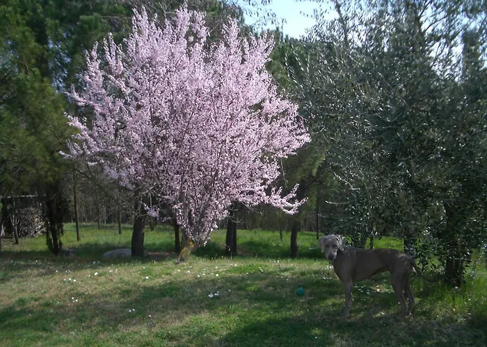 Il Cigliere Your Holiday Home In The Heart Of Tuscany